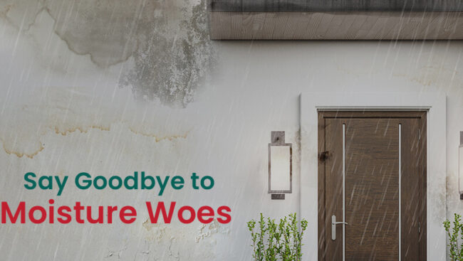 Damp-Proof Plus