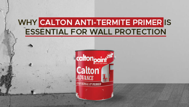 Anti-termite primer